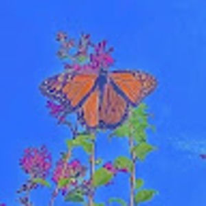 Meet your Posher, Ellie